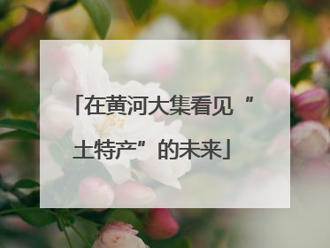 在黄河大集看见“土特产”的未来