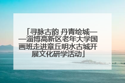 寻脉古韵 丹青绘城——淄博高新区老年大学国画班走进章丘明水古城开展文化研学活动