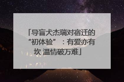 导盲犬杰瑞对宿迁的“初体验”：有爱亦有坎 温情破万难