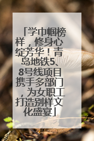 学巾帼榜样，修身心绽芳华！青岛地铁5、8号线项目携手多部门，为女职工打造别样文化盛宴