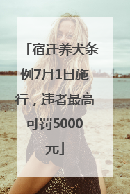 宿迁养犬条例7月1日施行，违者最高可罚5000元
