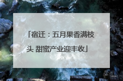 宿迁：五月果香满枝头 甜蜜产业迎丰收
