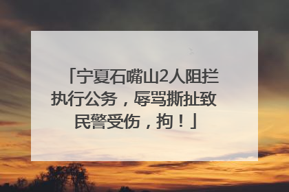 宁夏石嘴山2人阻拦执行公务，辱骂撕扯致民警受伤，拘！