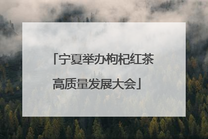 宁夏举办枸杞红茶高质量发展大会