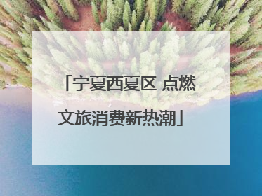宁夏西夏区 点燃文旅消费新热潮