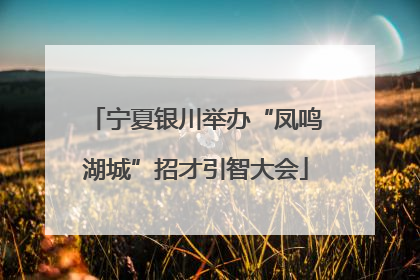 宁夏银川举办“凤鸣湖城”招才引智大会
