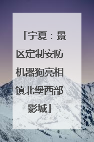 宁夏：景区定制安防机器狗亮相镇北堡西部影城