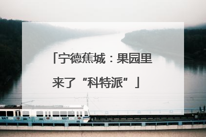宁德蕉城：果园里来了“科特派”