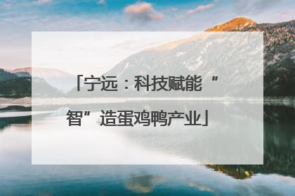 宁远：科技赋能“智”造蛋鸡鸭产业