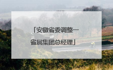 安徽省委调整一省属集团总经理