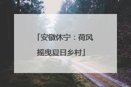安徽休宁：荷风摇曳夏日乡村