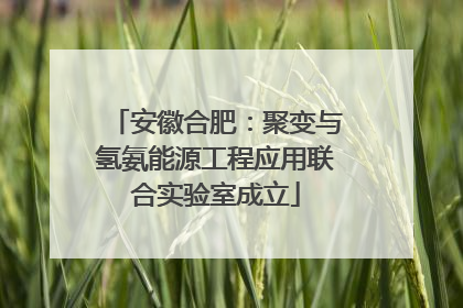安徽合肥：聚变与氢氨能源工程应用联合实验室成立