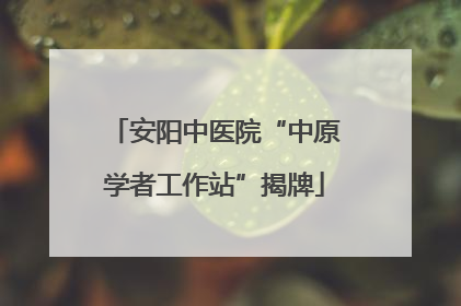 安阳中医院“中原学者工作站”揭牌