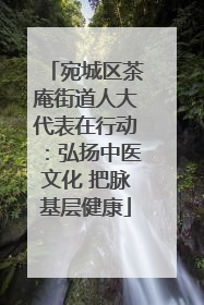 宛城区茶庵街道人大代表在行动：弘扬中医文化 把脉基层健康