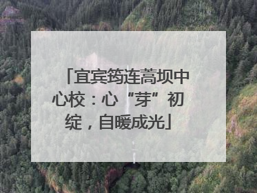 宜宾筠连蒿坝中心校：心“芽”初绽，自暖成光