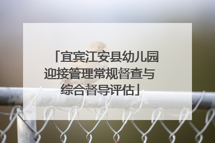 宜宾江安县幼儿园迎接管理常规督查与综合督导评估