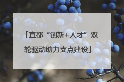 宜都“创新+人才”双轮驱动助力支点建设