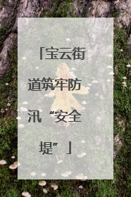 宝云街道筑牢防汛“安全堤”