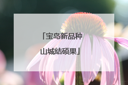 宝岛新品种 山城结硕果