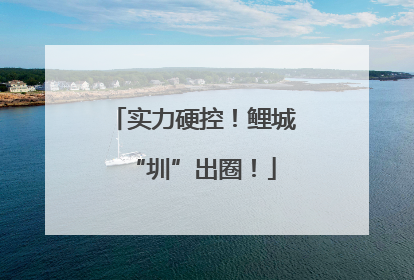 实力硬控！鲤城“圳”出圈！