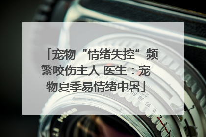 宠物“情绪失控”频繁咬伤主人 医生：宠物夏季易情绪中暑