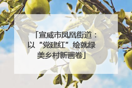 宣威市凤凰街道：以“党建红”绘就绿美乡村新画卷