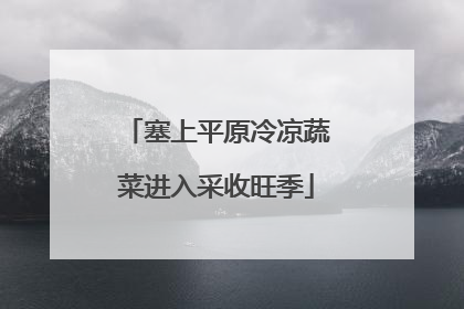 塞上平原冷凉蔬菜进入采收旺季
