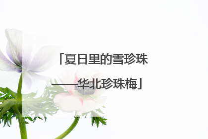 夏日里的雪珍珠——华北珍珠梅