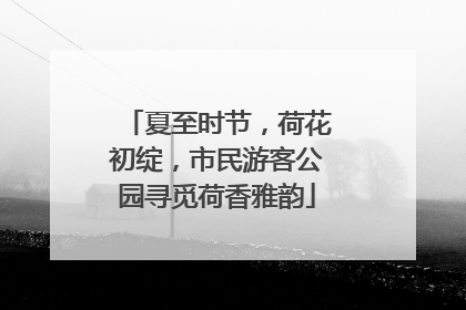 夏至时节，荷花初绽，市民游客公园寻觅荷香雅韵