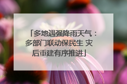 多地遇强降雨天气：多部门联动保民生 灾后重建有序推进