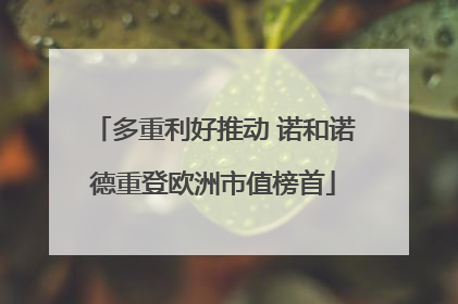 多重利好推动 诺和诺德重登欧洲市值榜首