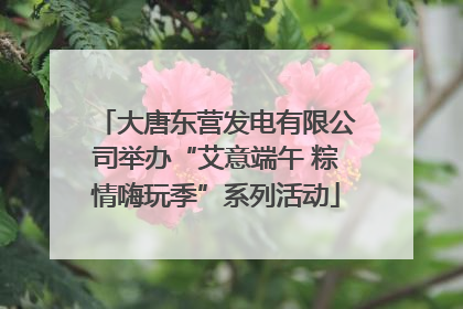 大唐东营发电有限公司举办“艾意端午 粽情嗨玩季”系列活动
