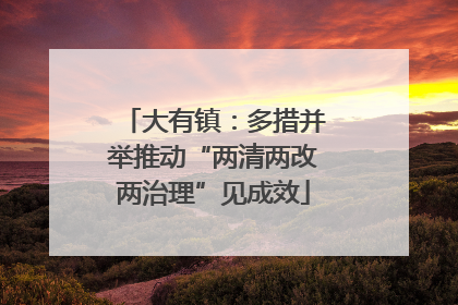 大有镇：多措并举推动“两清两改两治理”见成效