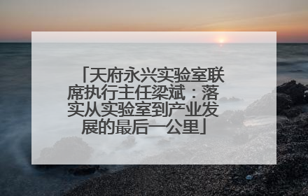 天府永兴实验室联席执行主任梁斌：落实从实验室到产业发展的最后一公里