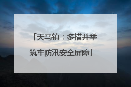 天马镇：多措并举筑牢防汛安全屏障