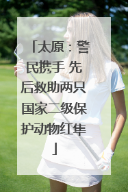 太原：警民携手 先后救助两只国家二级保护动物红隼