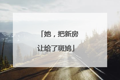 她，把新房让给了斑鸠