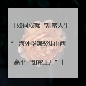 如何成就“甜蜜人生” 海外华媒聚焦山西高平“甜蜜工厂”