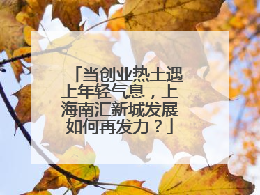 当创业热土遇上年轻气息，上海南汇新城发展如何再发力？