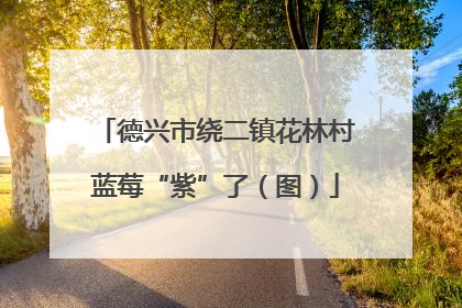 德兴市绕二镇花林村蓝莓“紫”了（图）