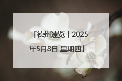 德州速览丨2025年5月8日 星期四