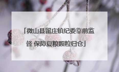 微山县留庄镇纪委靠前监督 保障夏粮颗粒归仓