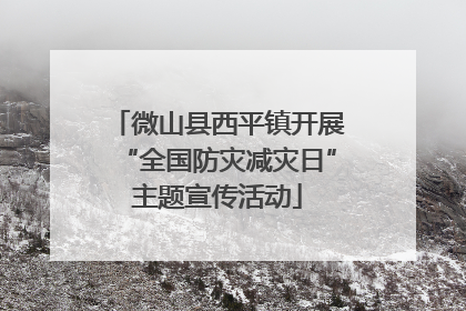 微山县西平镇开展“全国防灾减灾日”主题宣传活动