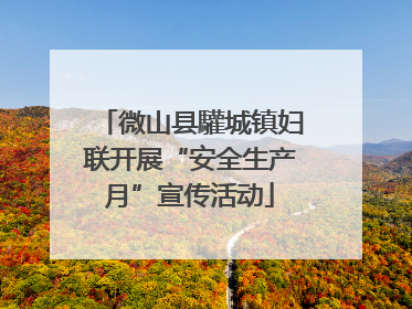 微山县驩城镇妇联开展“安全生产月”宣传活动