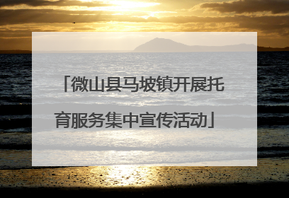 微山县马坡镇开展托育服务集中宣传活动