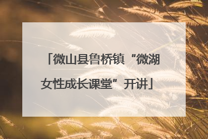 微山县鲁桥镇“微湖女性成长课堂”开讲