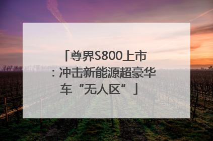 尊界S800上市：冲击新能源超豪华车“无人区”