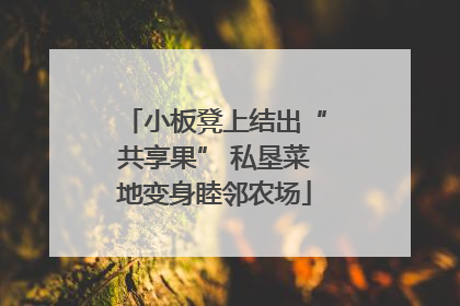 小板凳上结出“共享果” 私垦菜地变身睦邻农场