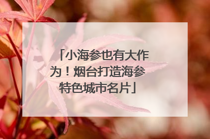小海参也有大作为！烟台打造海参特色城市名片