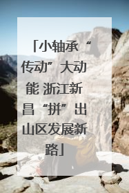 小轴承“传动”大动能 浙江新昌“拼”出山区发展新路